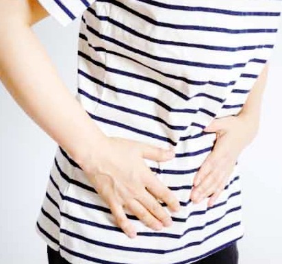 대장균 (Escherichia coli, E. coli)