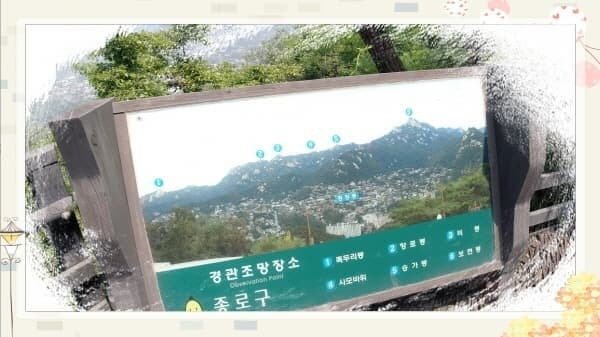 북악스카이웨이 산책로 완벽 가이드: 초보자도 쉽게 따라하는 코스