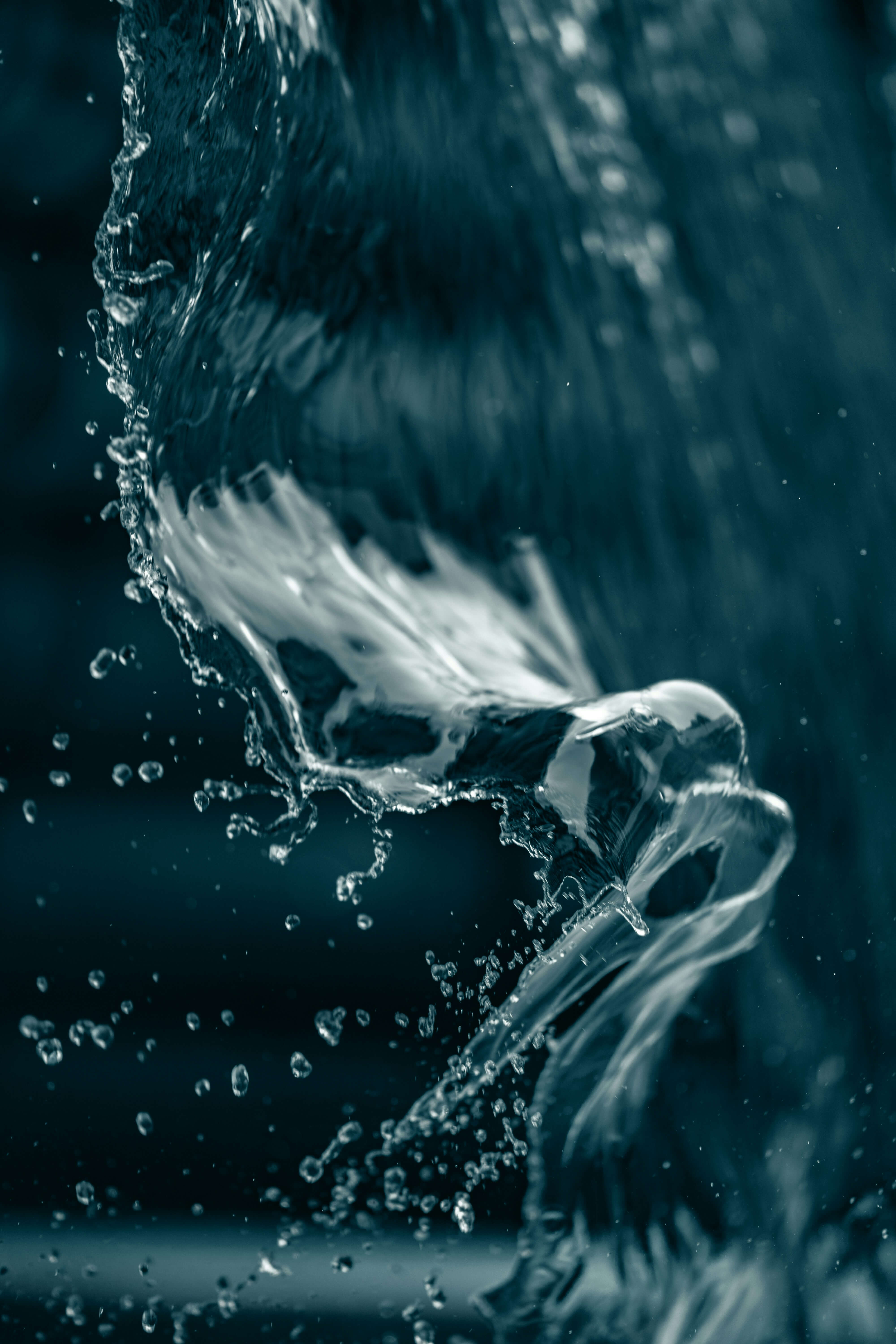 2025 워터밤 서울