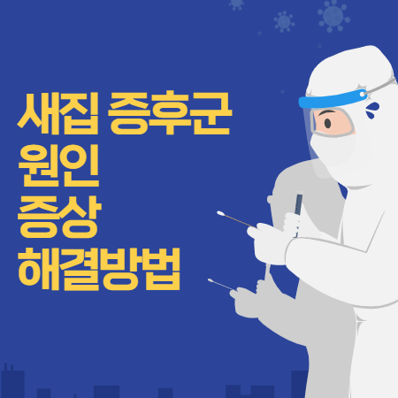 새집 증후군 없애는 방법