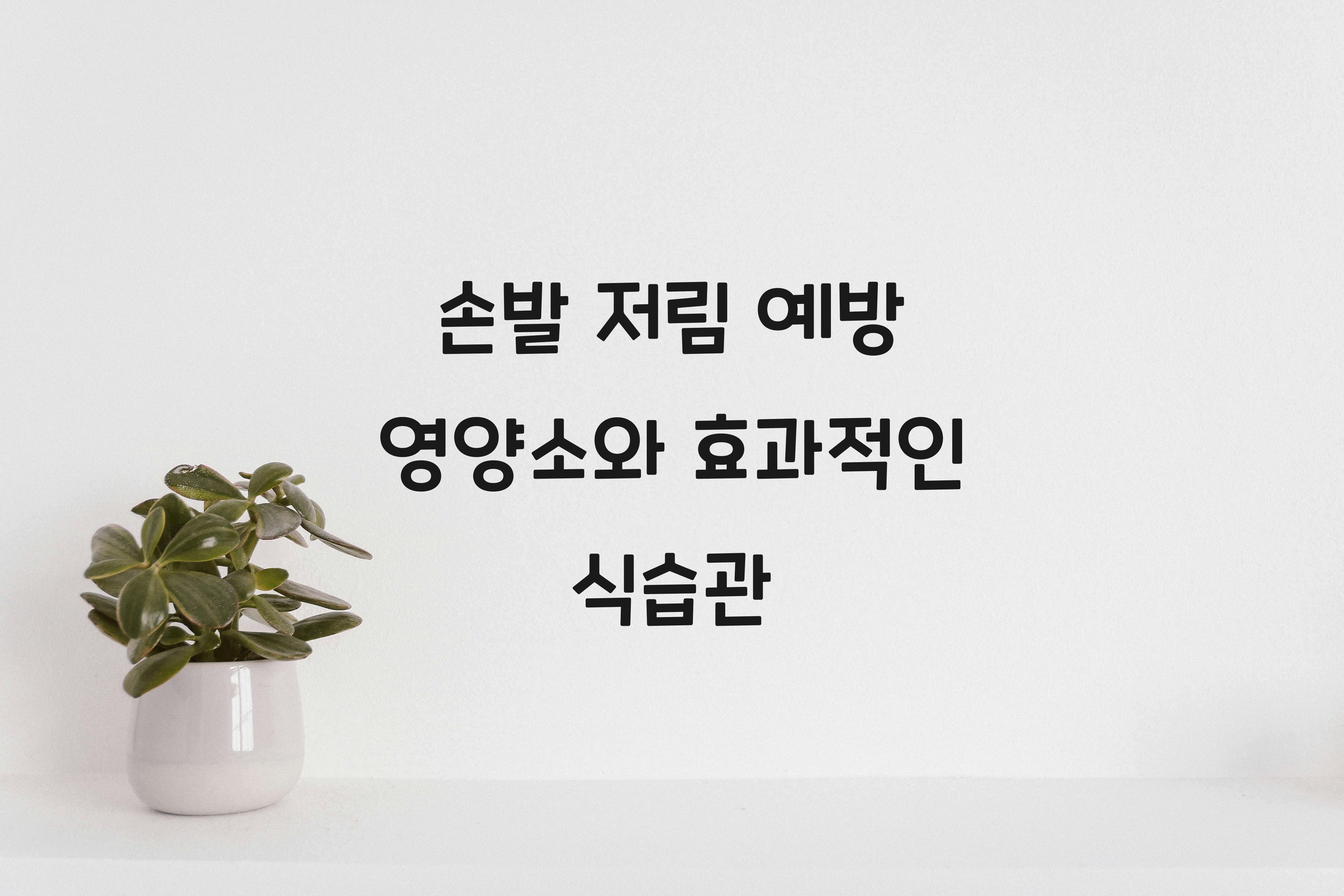 손발 저림 예방 영양소