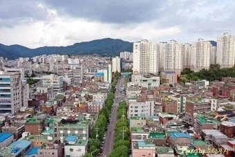 성남 가볼만한곳 베스트10 현지인 추천 필수코스_27