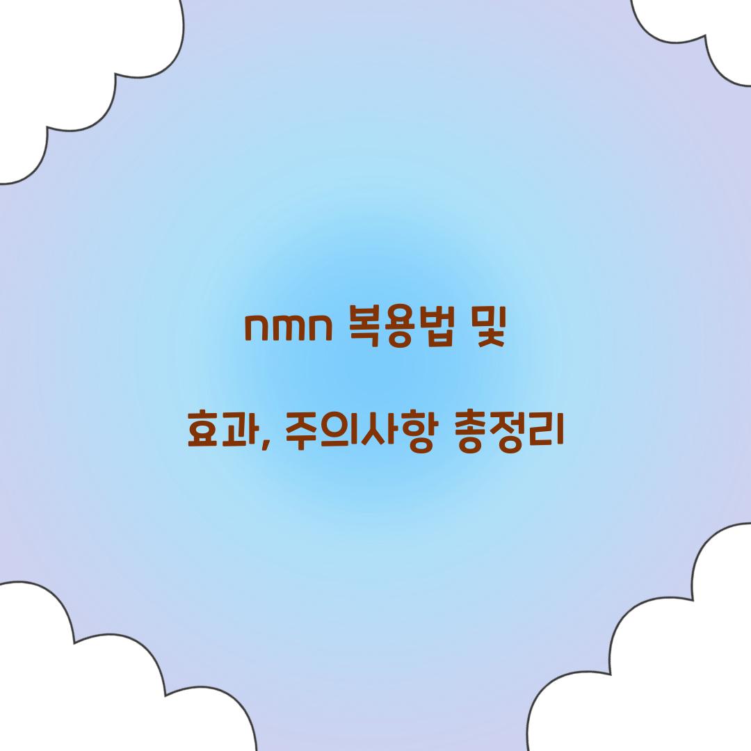 nmn 복용법