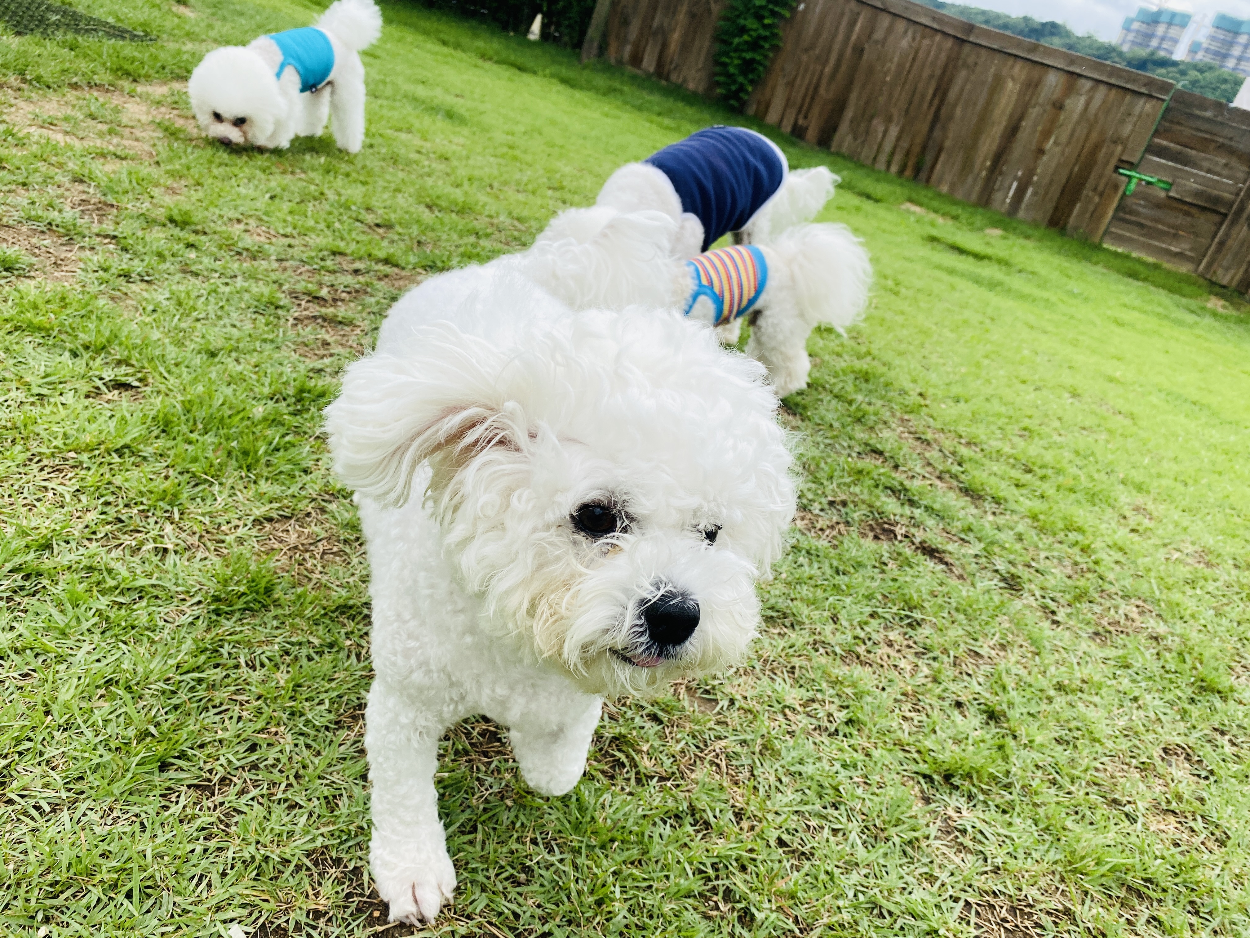 공인중개사 동차합격 공부방법