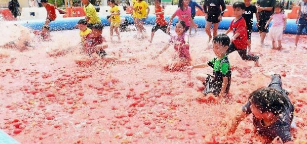 퇴촌-토마토-축제