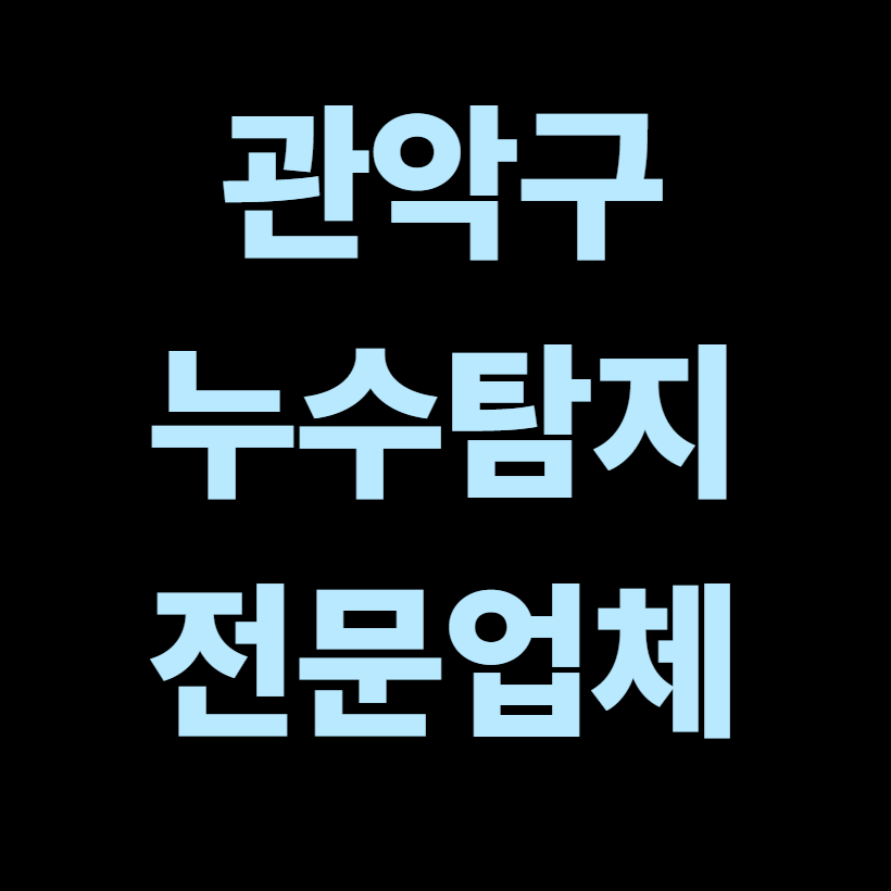 관악구 누수탐지 전문업체