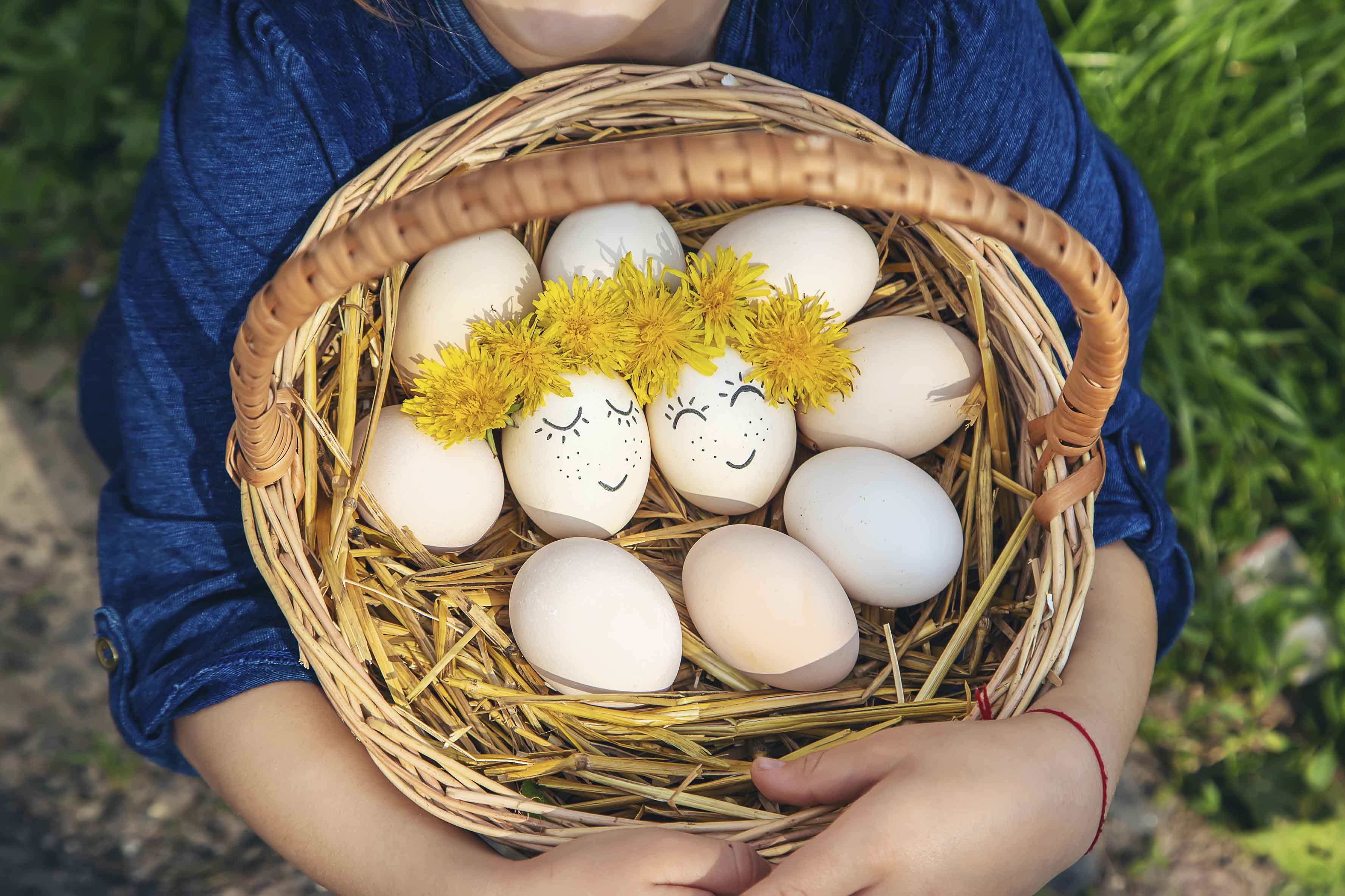 계란 효능과 올바른 조리법, 궁합까지 완벽 정리!