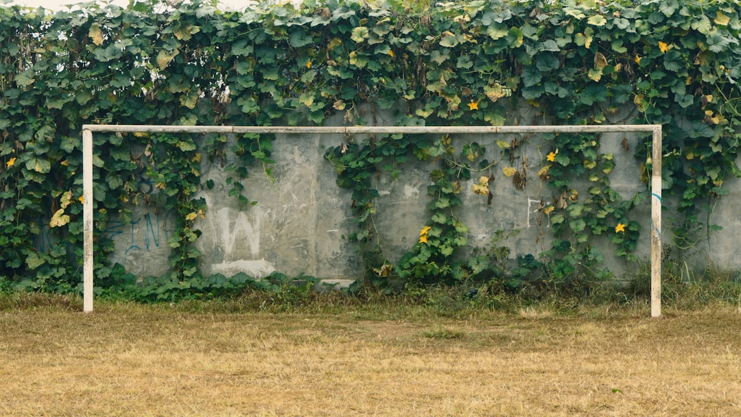 Penalty