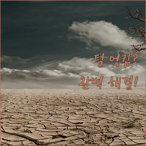 반려동물 털 엉킴 방지 로봇청소기 실..