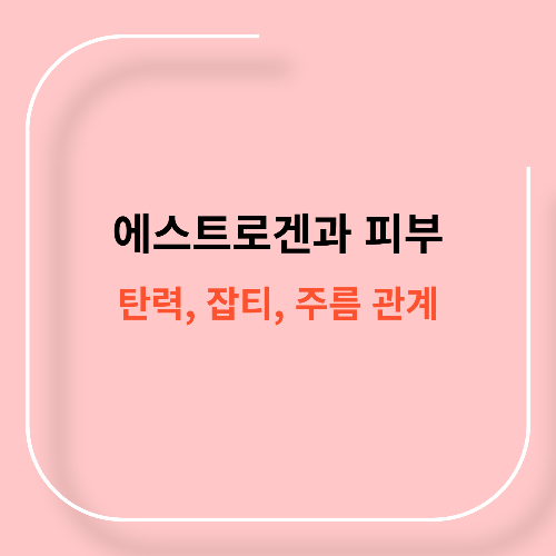 에스트로겐과 피부 관계11