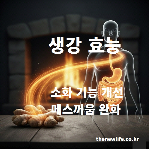 생강 효능의 성분인 진저롤의 소화 기능 개선과 메스꺼움 완화 작용을 설명하는 인공 이미지