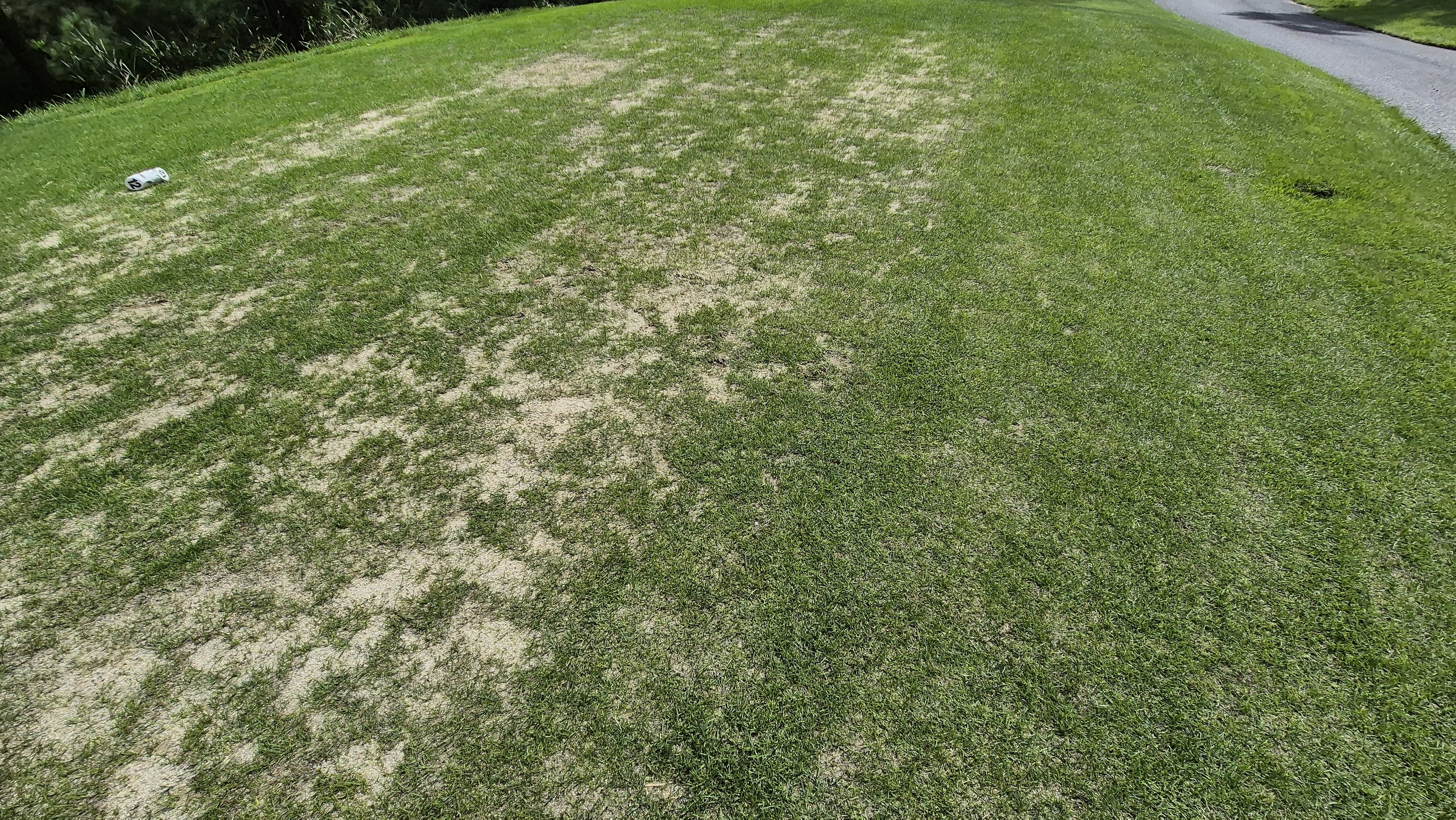 세일cc 들길-산길 코스 라운드 후기