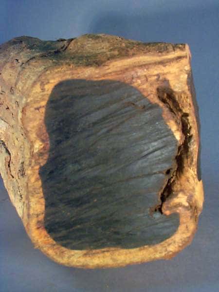 세계에서 가장 비싼 목재 What is the Most Expensive Wood in the World?