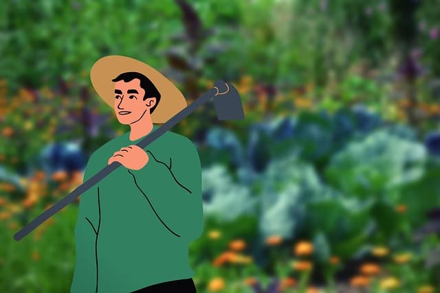 유기농과 무농약은 같은 뜻인가요?