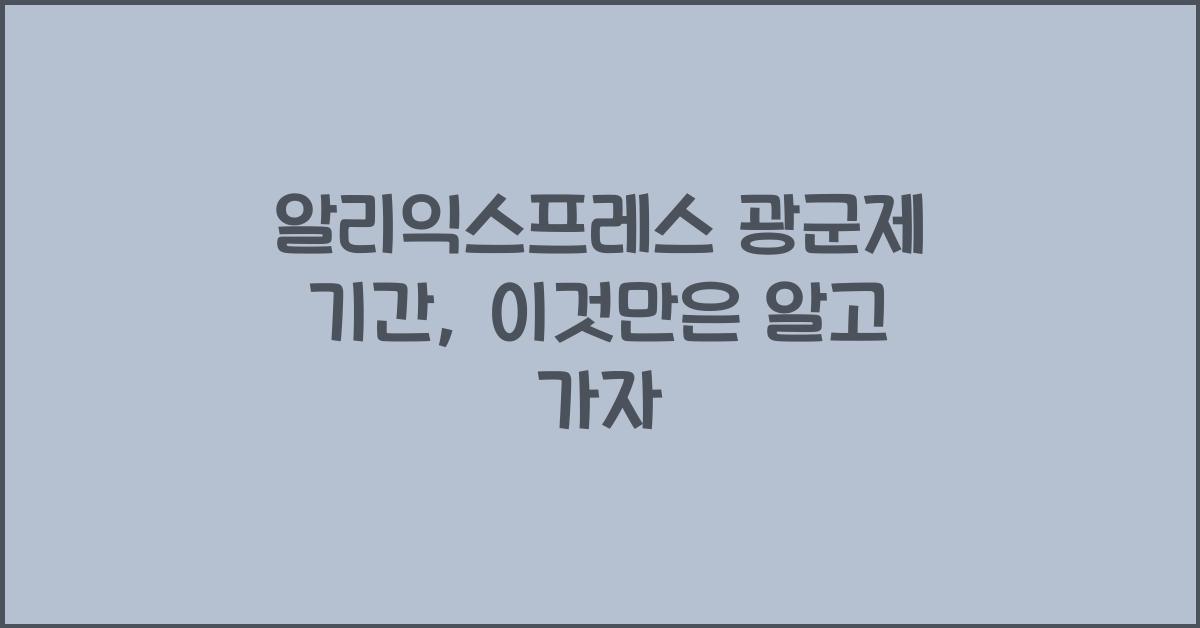 알리익스프레스 광군제 기간