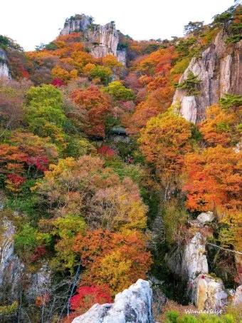 가을 단풍여행 베스트 명소 시니어 추천 코스 완벽 가이드_8