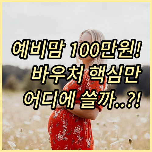 임산부 의료비 경감 국민행복카드 바우..