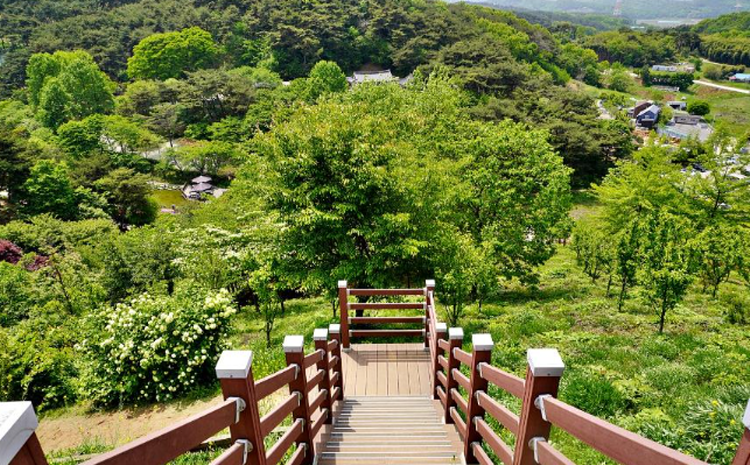 당진 삼선산수목원