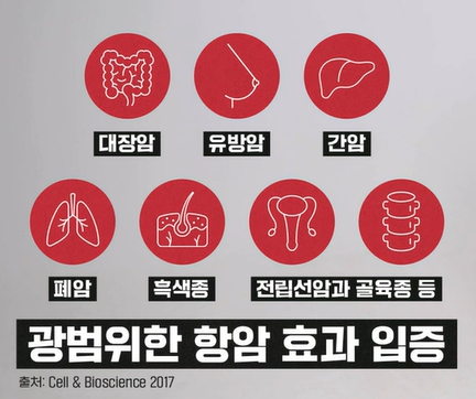 파바빈 효능