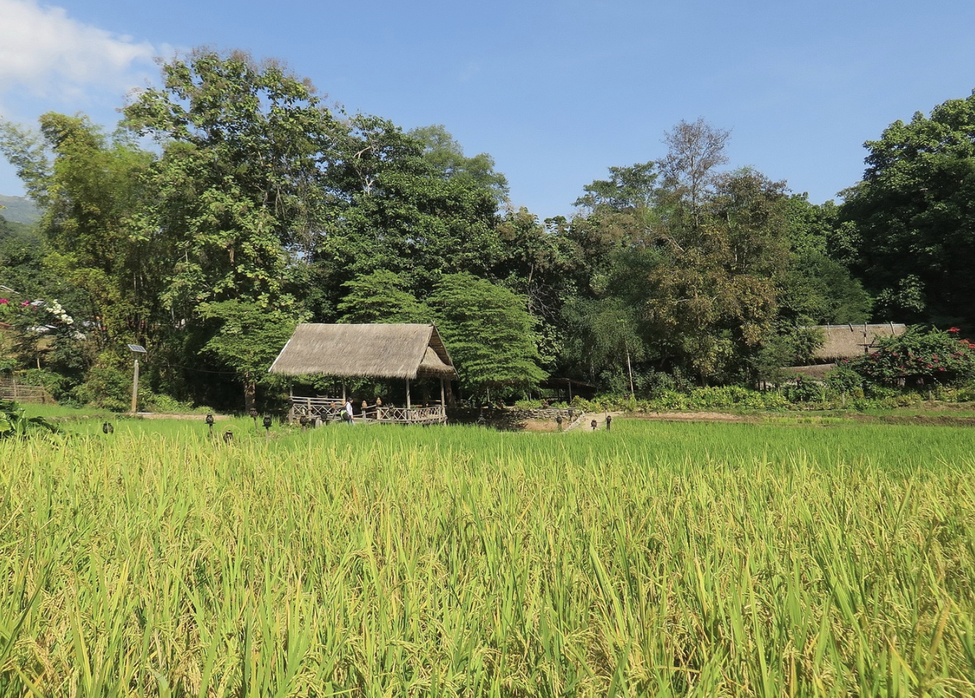 시골 전원 풍경