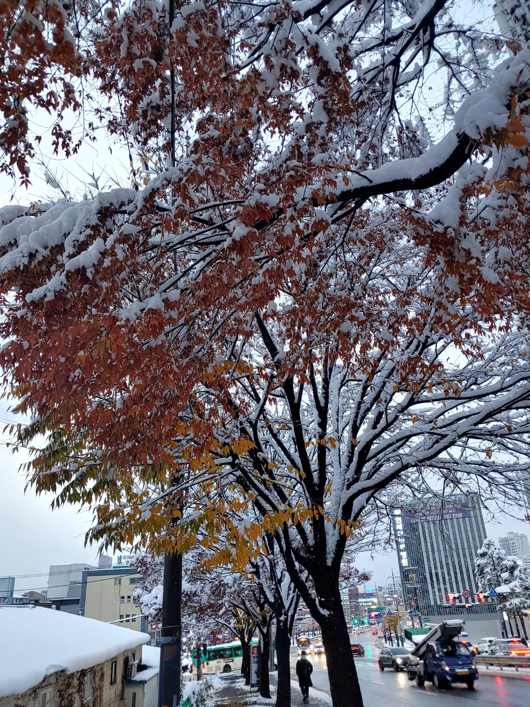 경기도-시흥시-대야동-첫눈