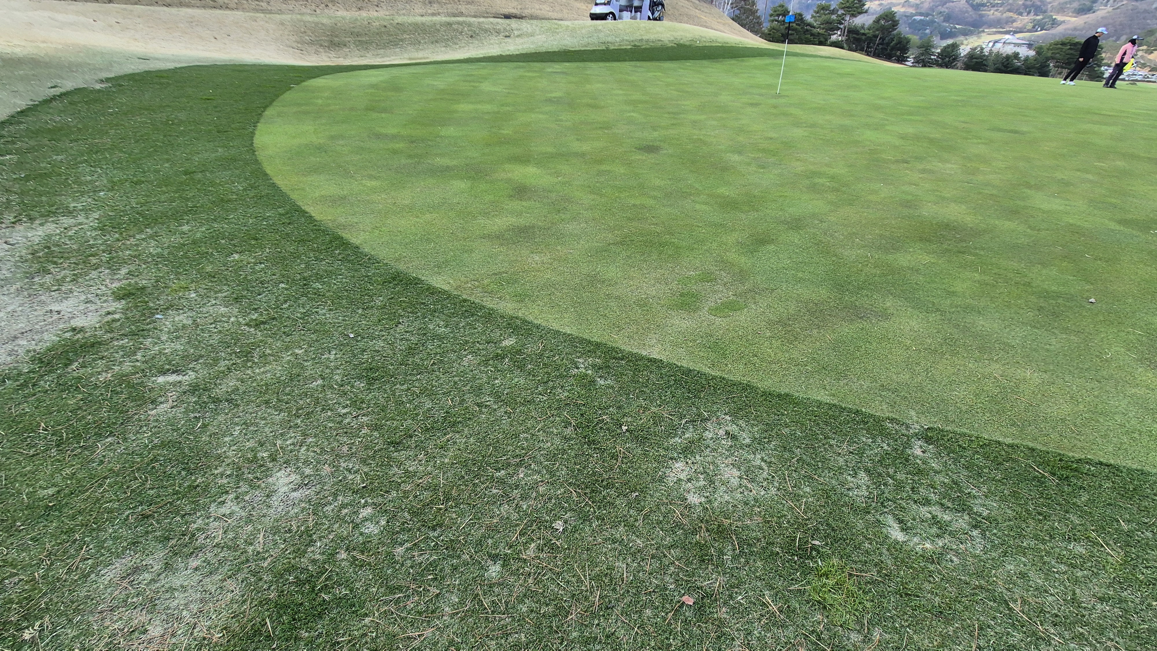 안성베네스트gc 동-남 코스 라운드 후기