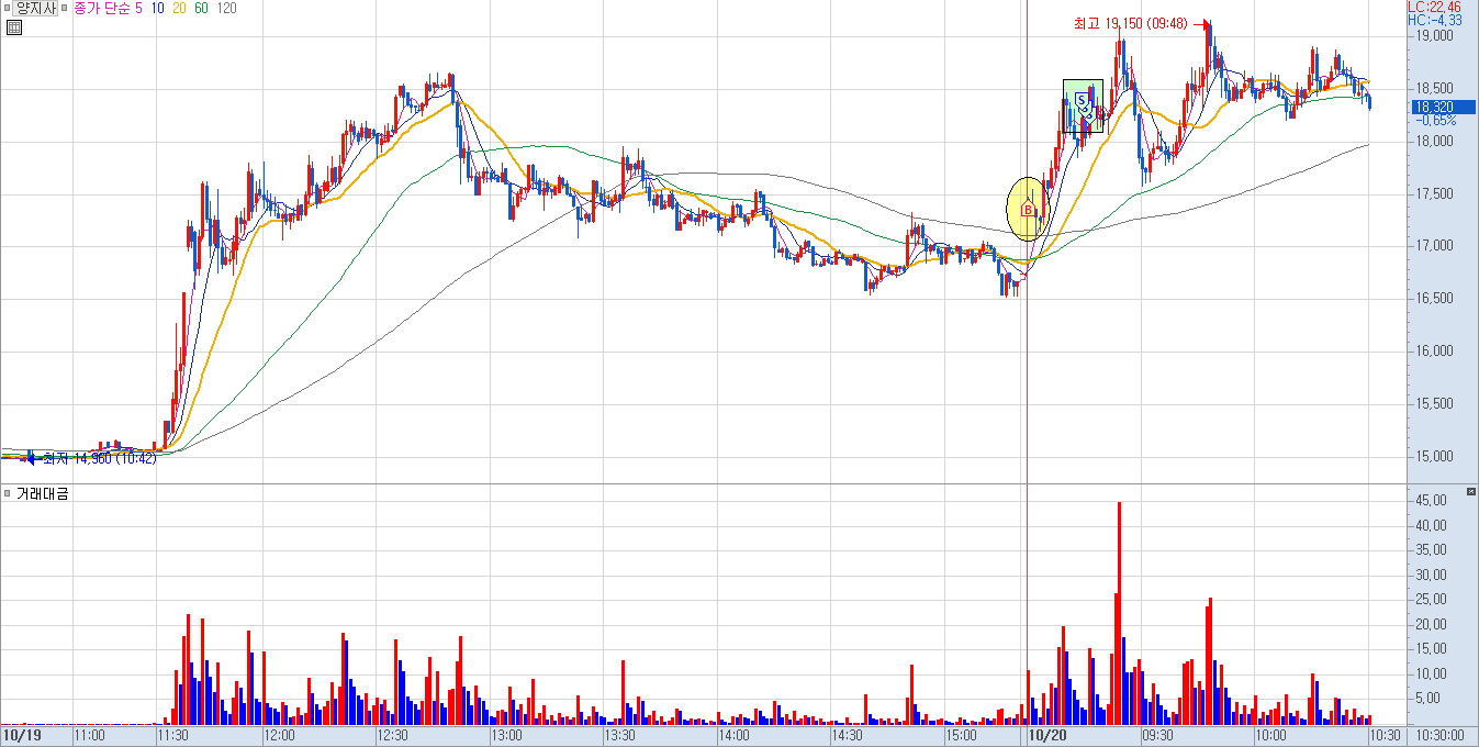 양지사 분봉 차트