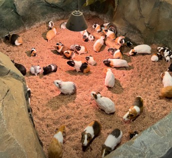 제주 비올때 가볼만한 곳