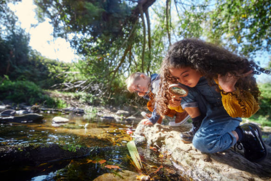 curious kindergarten child