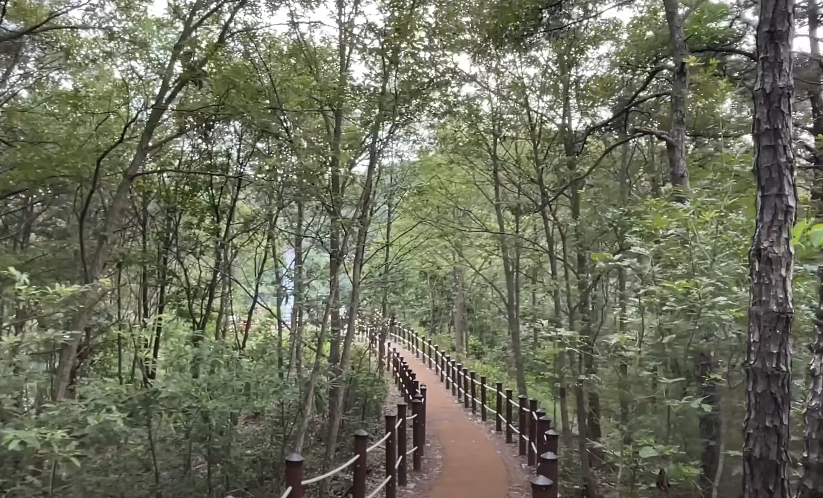 약 10분 정도의 산행길도 포함합니다.