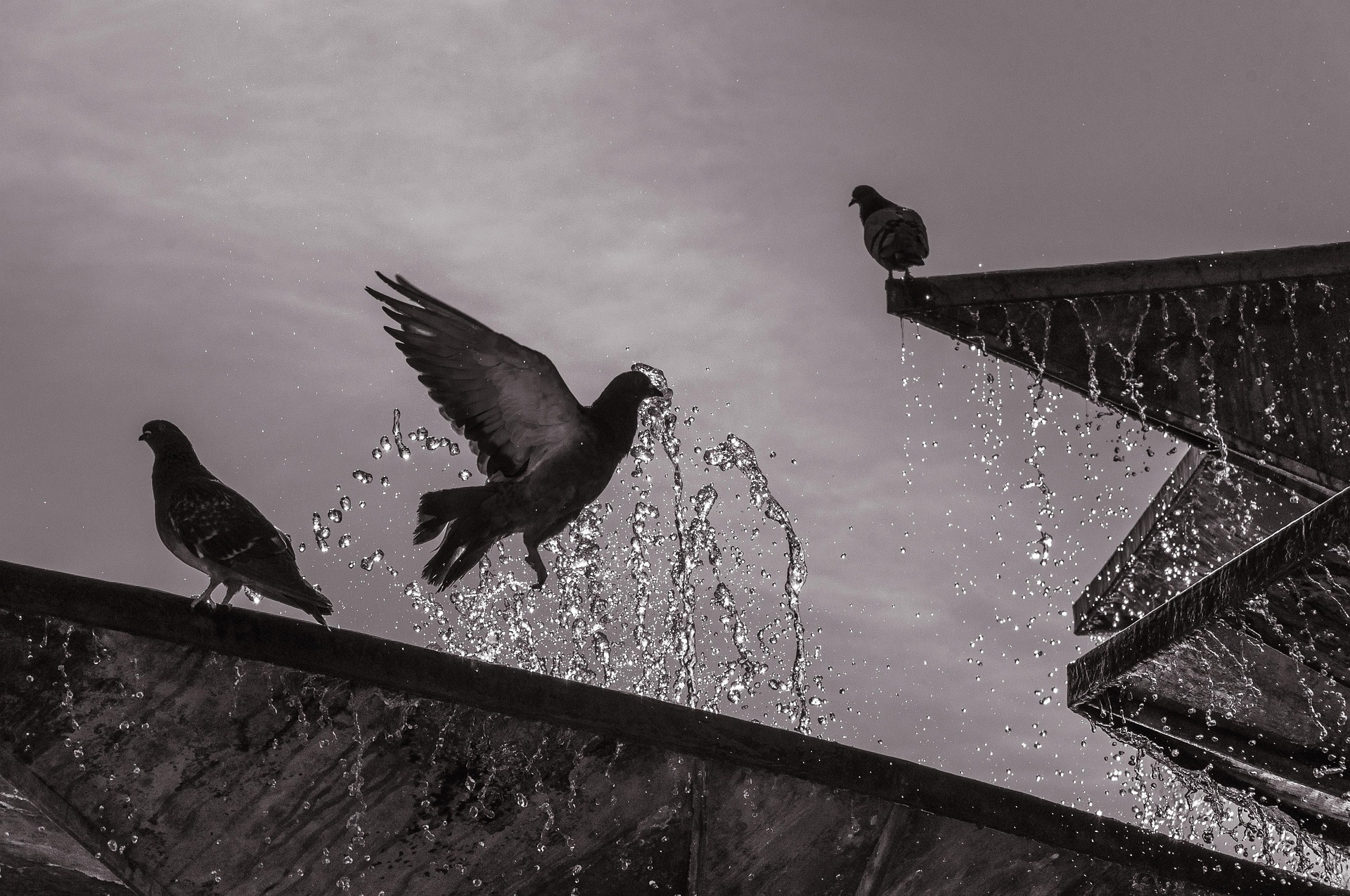 운동을 쉬어야 할 때 몸이 보내는 신호