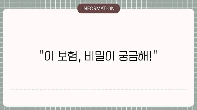 메리츠 무배당알파플러스 믏장보험 인기 이유 분석 🔍