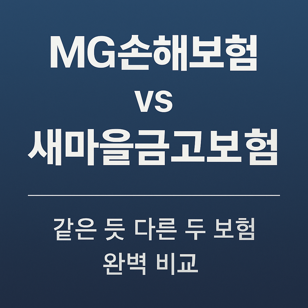 보험 관련 사진