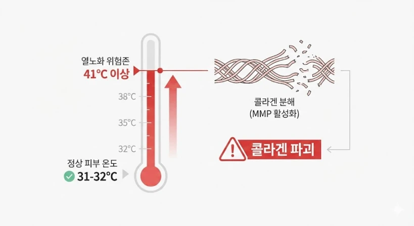 피부 온도가 상승함에 따라 콜라겐이 파괴되는 과정을 보여주는 깔끔한 인포그래픽입니다. 온도계가 31도에서 41도 이상으로 올라가며, 41도 지점에서 콜라겐 섬유가 끊어지는 그림과 함께 '콜라겐 분해 (MMP 활성화)'라는 경고 문구가 한글로 표시되어 있습니다.
