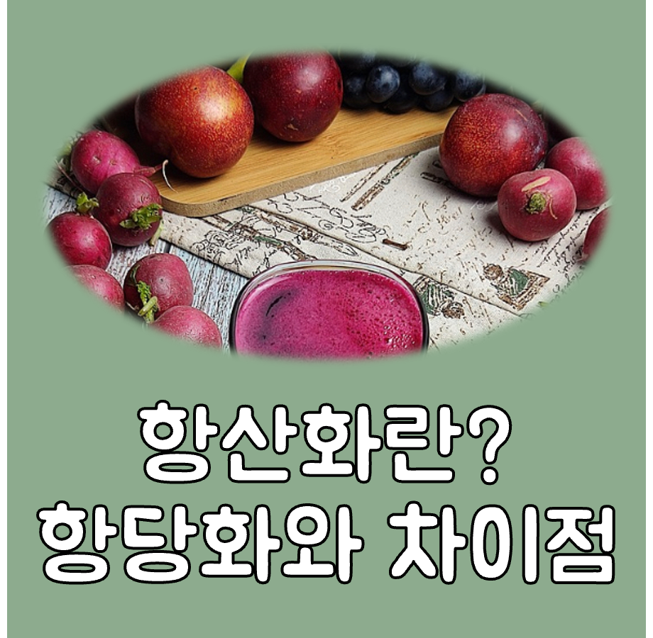 항산화란 대표이미지