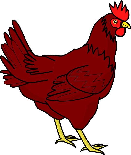 2024년 12월 띠별 운세