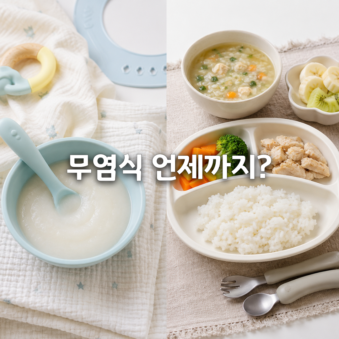 이유식 간은 언제부터 돌 전 무염식과 저염식 총정리🧂