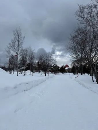 일본 삿포로 위치 지도와 여행 팁으로 소개_28