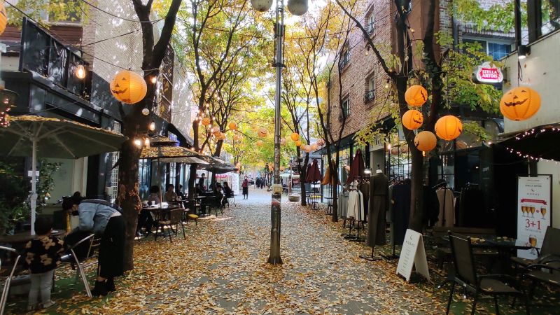 보정동 카페거리 메인거리의 할로윈때 모습