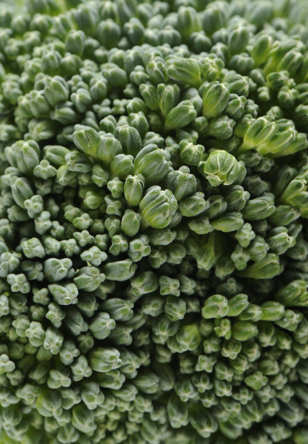 전립선에 좋은 음식