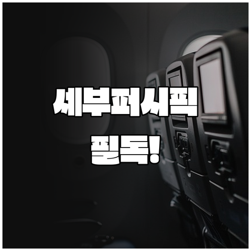 인천공항 세부퍼시픽 항공 터미널 및 ..