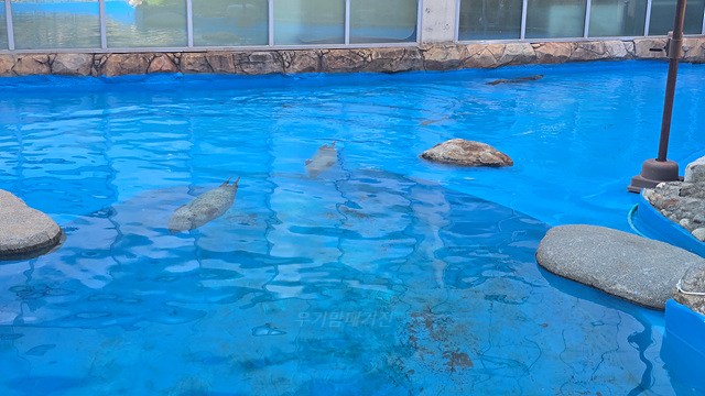 순천만국가정원 어린이 동물원 서문 순천여행 24년 11월 사진