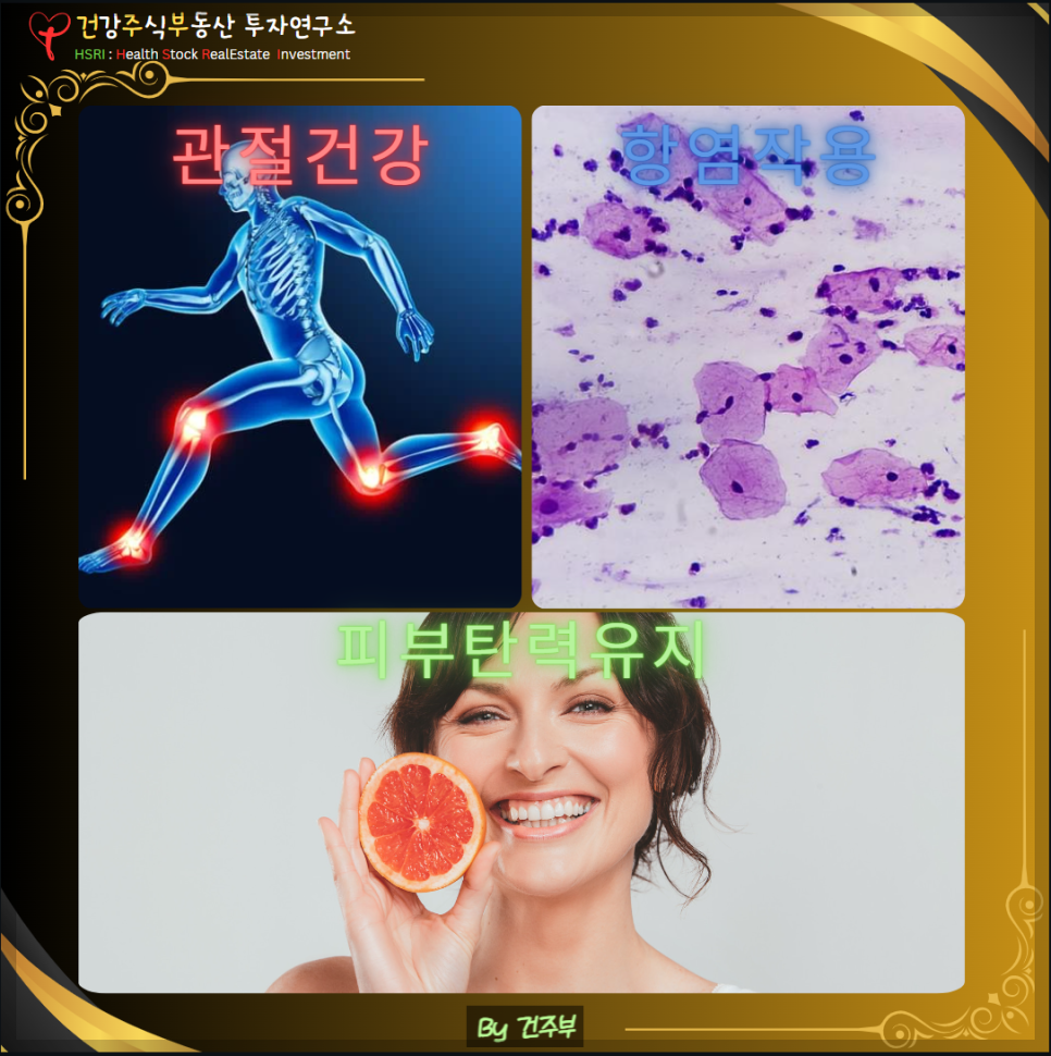 관절 영양제 프로테오글리칸 효능 - 관절건강 항염작용 피부탄력유지