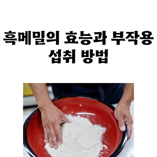 흑메밀의 효능과 부작용 및 섭취 방법