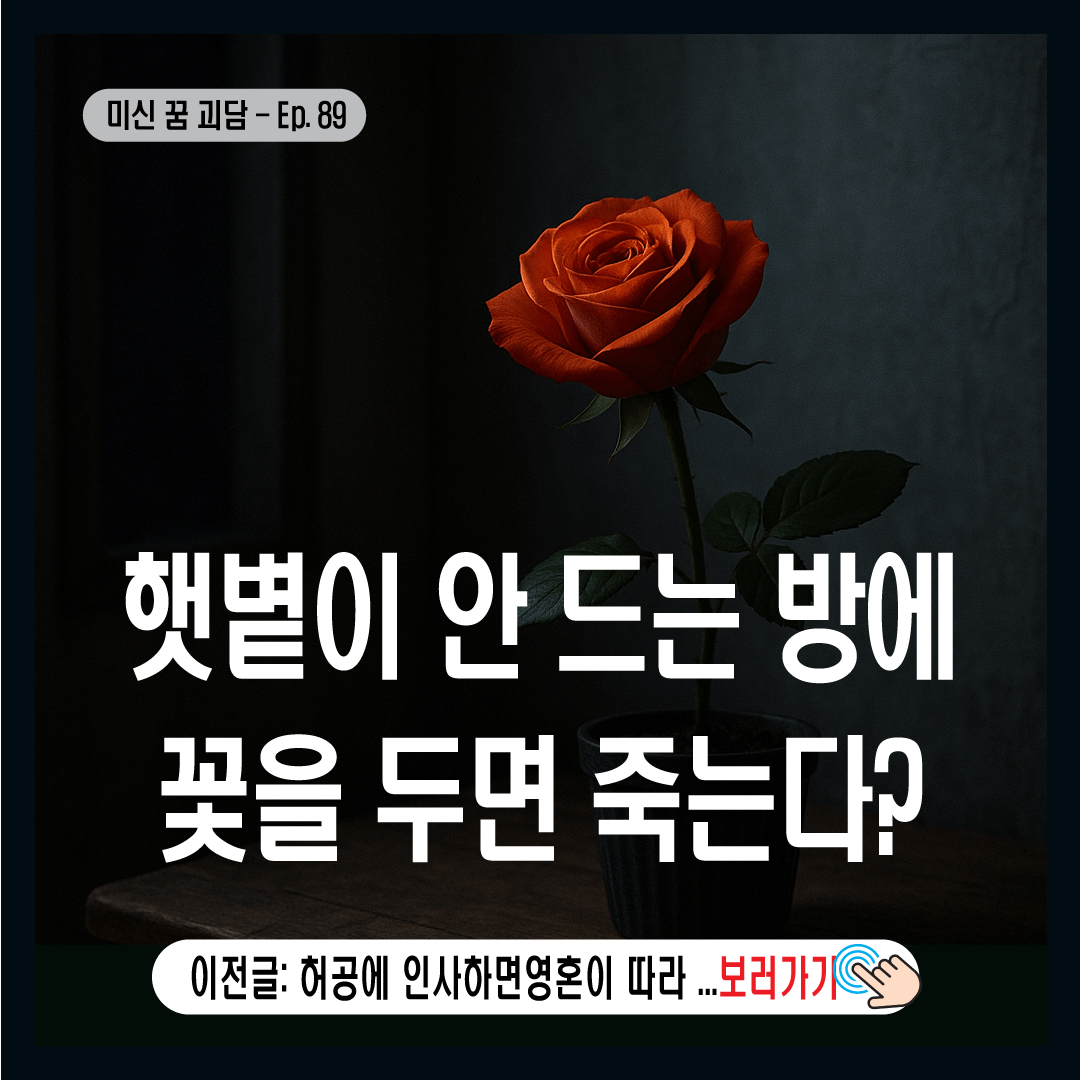 햇볕이 안 드는 방에 꽃을 두면 죽는다?-썸네일