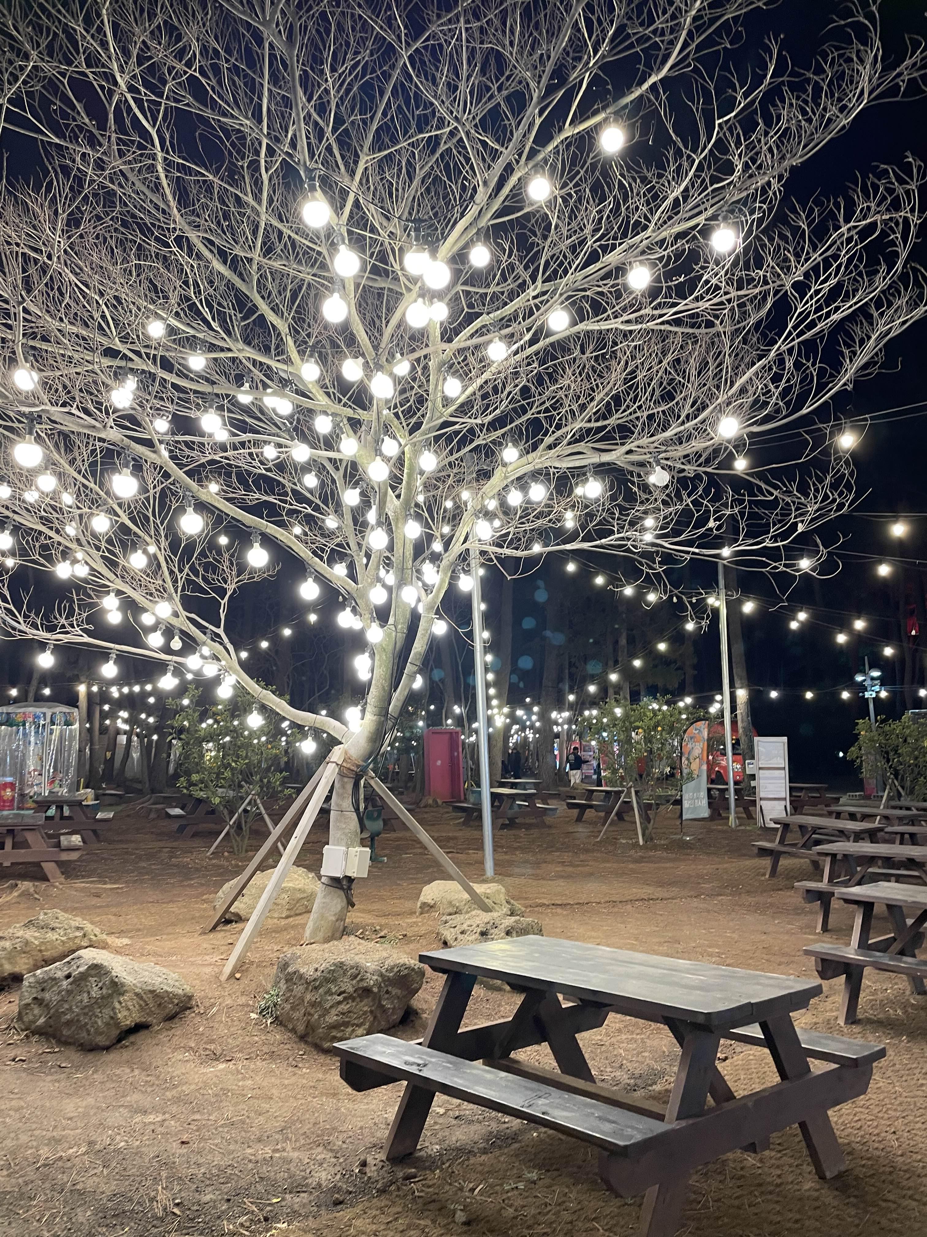 수목원길야시장