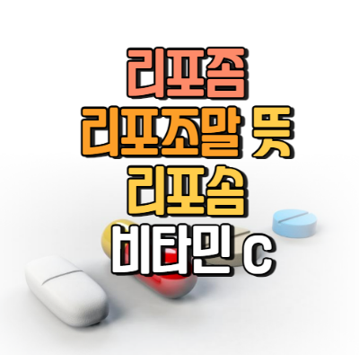 리포좀 리포조말 뜻