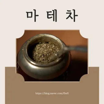 마테차 효능 11가지 및 부작용에 대해서 알아보기_20