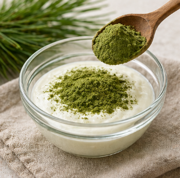 솔잎가루-효능-복용법-추천-혈당-효과