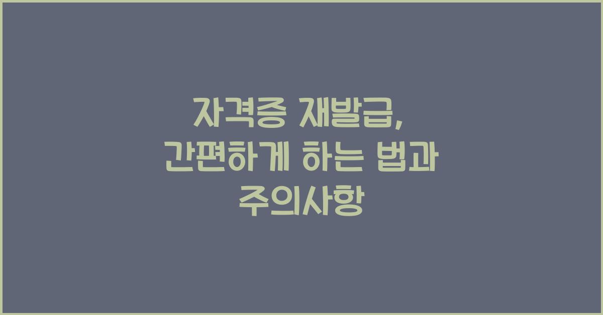 자격증 재발급